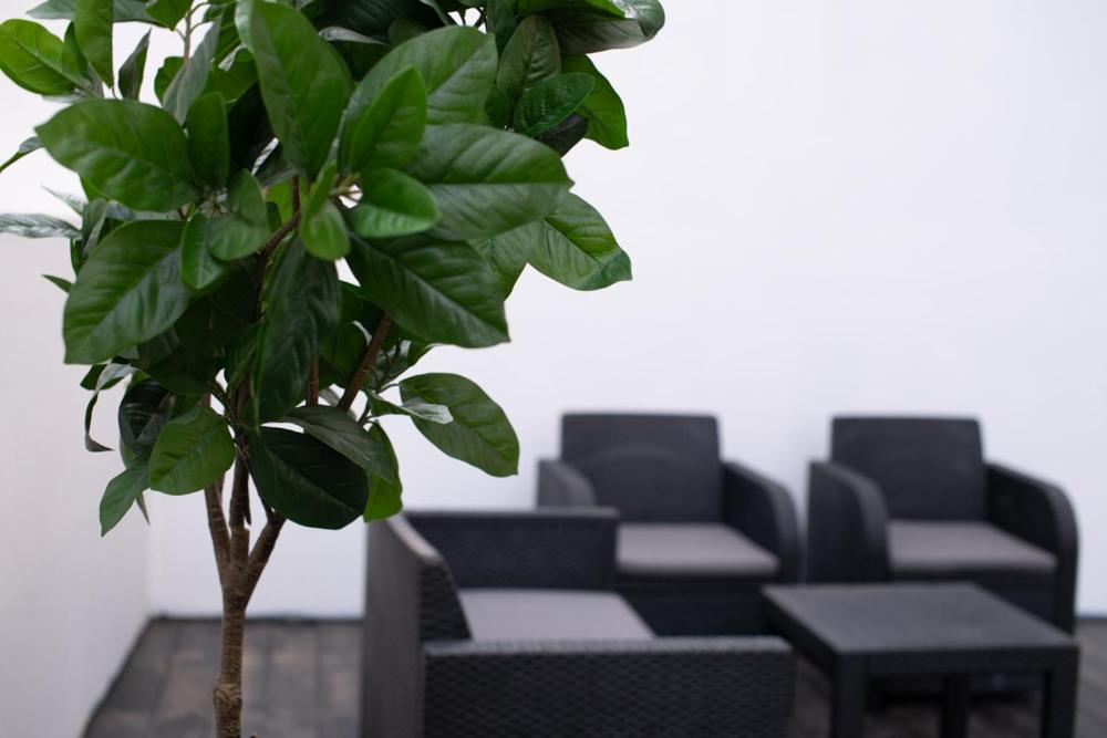 Seaviewtlv Apartment Тел Авив Екстериор снимка